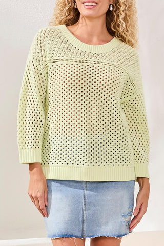 Crew Neck Open-Stitch 3/4 Sleeve Sweater-Limecream